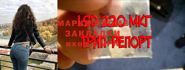индика Навашино