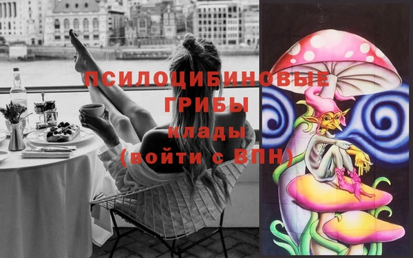 прущий лед Надым