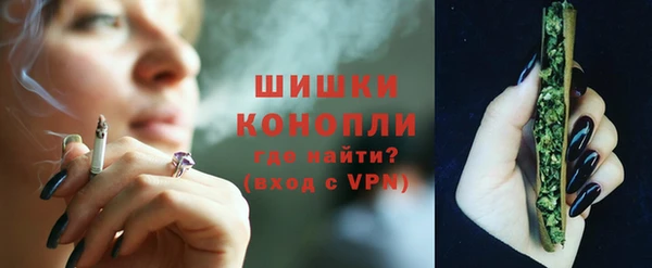 индика Навашино