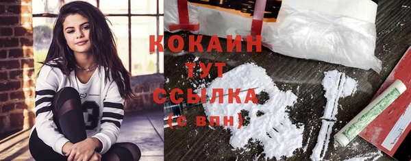 индика Навашино
