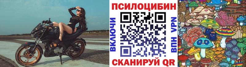 Псилоцибиновые грибы Psilocybe  Купить  Чусовой 